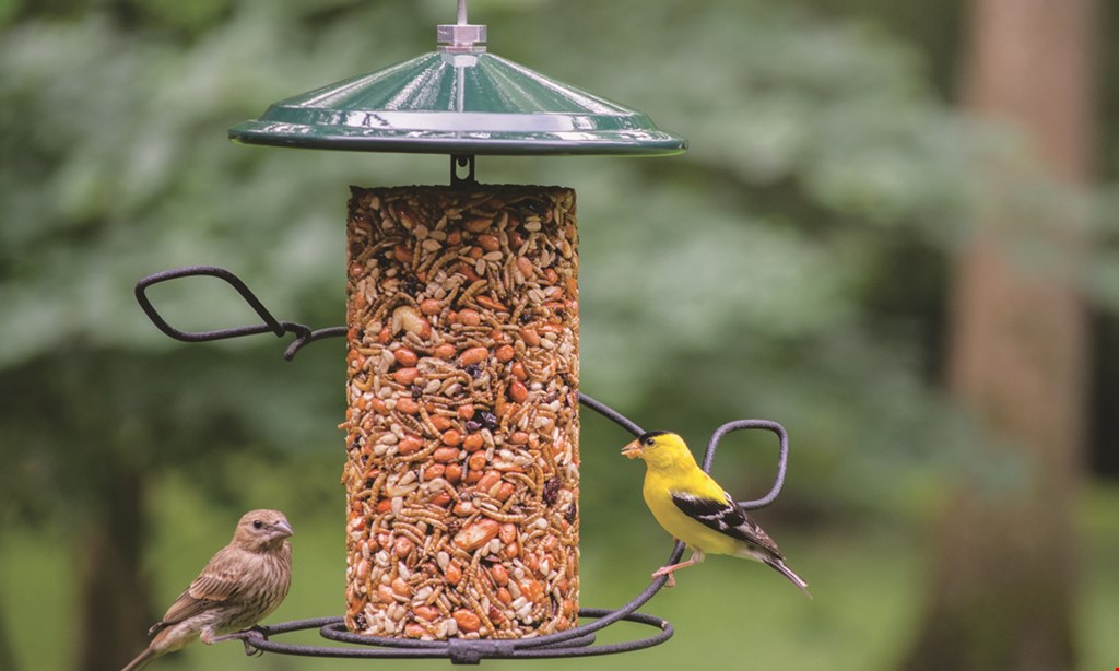 Product image for Wild Birds Unlimited $6 off $30* or more