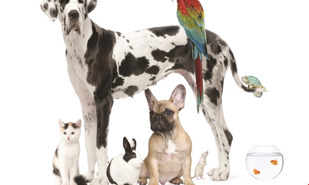 Product image for Anaheim Feed & Pet Supply $20 Off Your Purchase Of $100 Before Taxes.