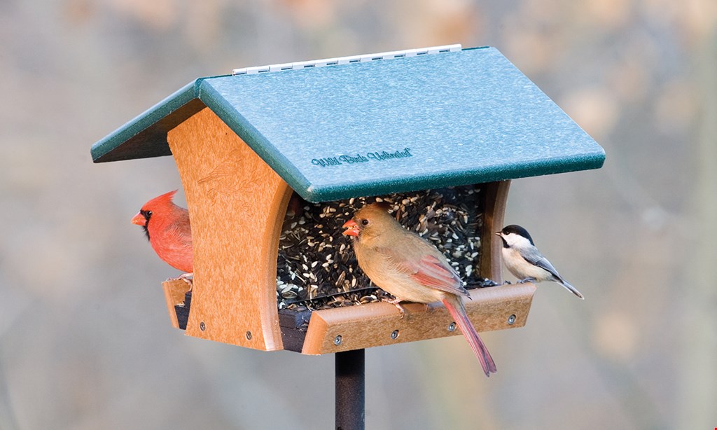 Product image for Wild Birds Unlimited Club Members 20% OFF* Non-Members 10% OFF* One Regularly-Priced Item*.