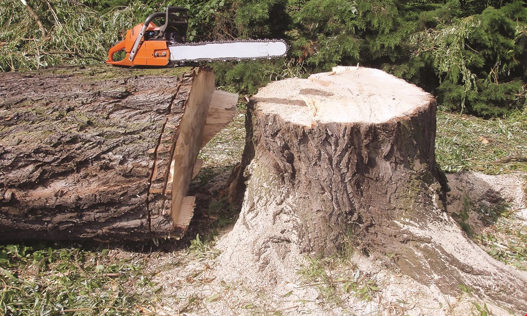Product image for Ames Tree Service Inc. $100 OFF any job of $1,000 or more. 