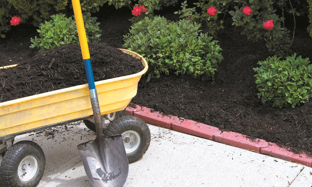 Product image for Debi's Mulch $10 Off Mulch Delivery