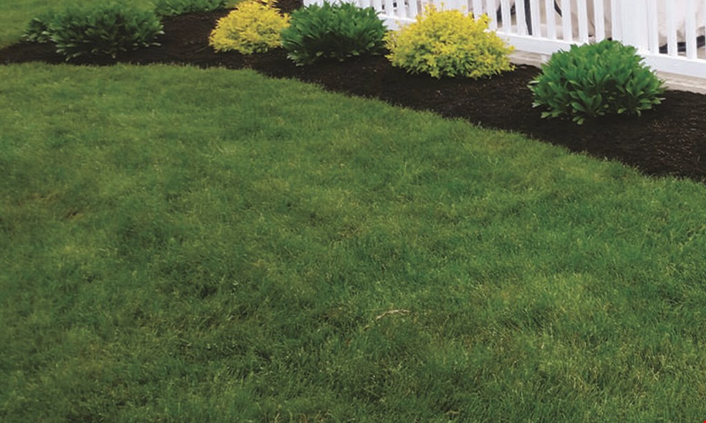Product image for Monroe Grounds Maintenance 50% OFF spring Lawn Aeration with purchase of 5 step treatment program. 