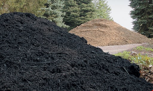 Product image for The Mulch Man $10 off any mulch purchase