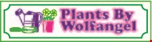 Plants By Wolfangel logo