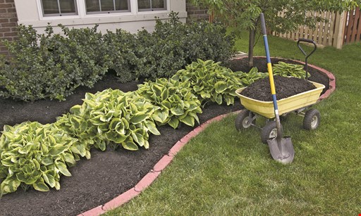 Product image for Garcia Landscaping $200 off any job totaling $3,000 or more 