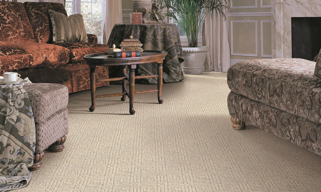 Product image for Stanley Steemer 50% OFF area rug get one area rug cleaned at regular price, get second area rug cleaned for 50% off