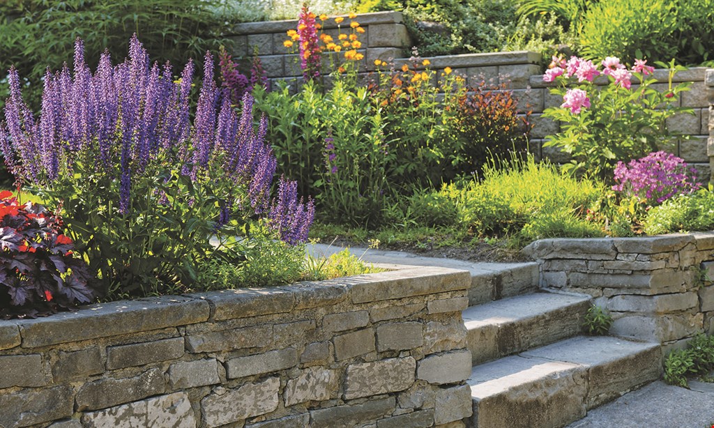 Product image for Dean's Landscaping 10% Off Your Next Outdoor Project. 