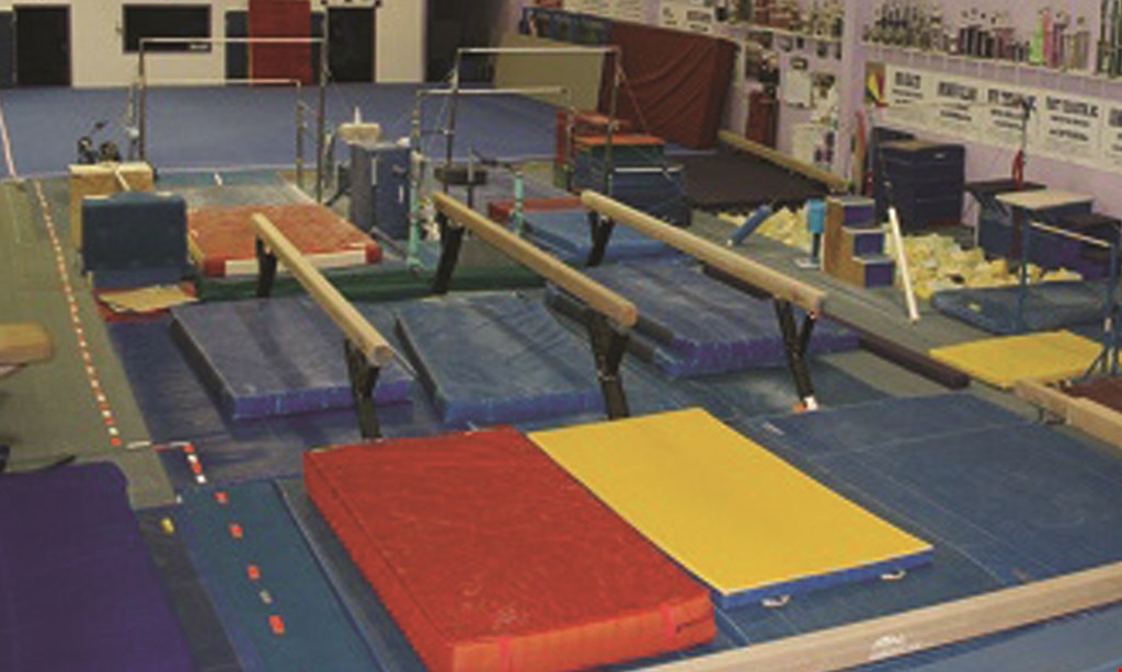 Product image for Skyline Gymnastics Center $10 OFF Birthday Party. 