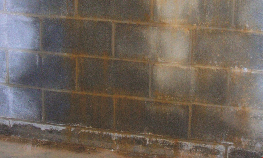 Product image for Dry Tech Waterproofing Solutions 15% off - Up to $750. 