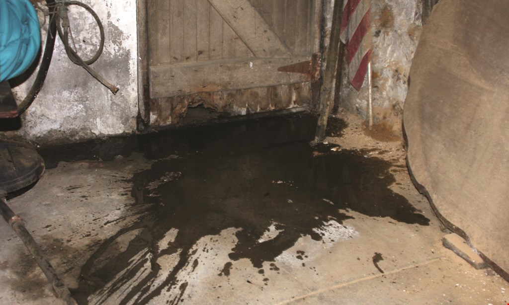 Product image for Seepage Seal $30 OFF SUMP PUMP REPLACEMENT.
