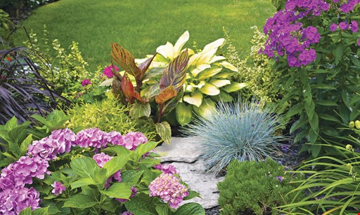 Product image for The Gardeners Market 15% off all annuals, tropicals & vegetables. 