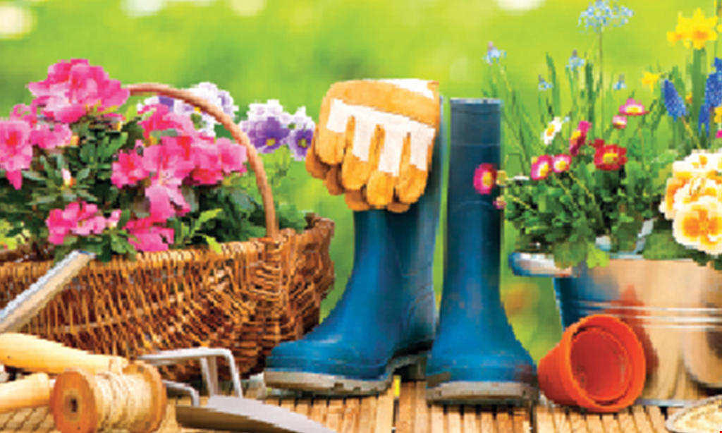 Product image for The Gardeners Market Free delivery.