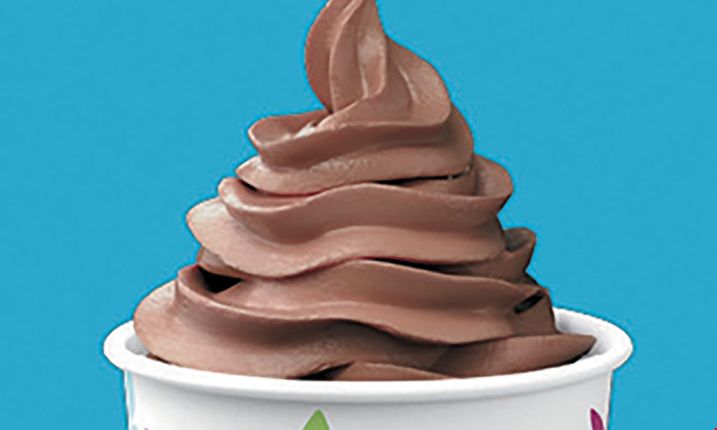 Product image for Yogurtland Laguna Hills 20% off take-out special. 