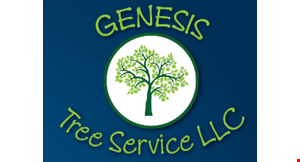 Product image for Genesis Tree Service $250 OFF any job over $2350. $125 OFF any job over $1200. $50 OFF any job over $600. $25 OFF any job over $350.