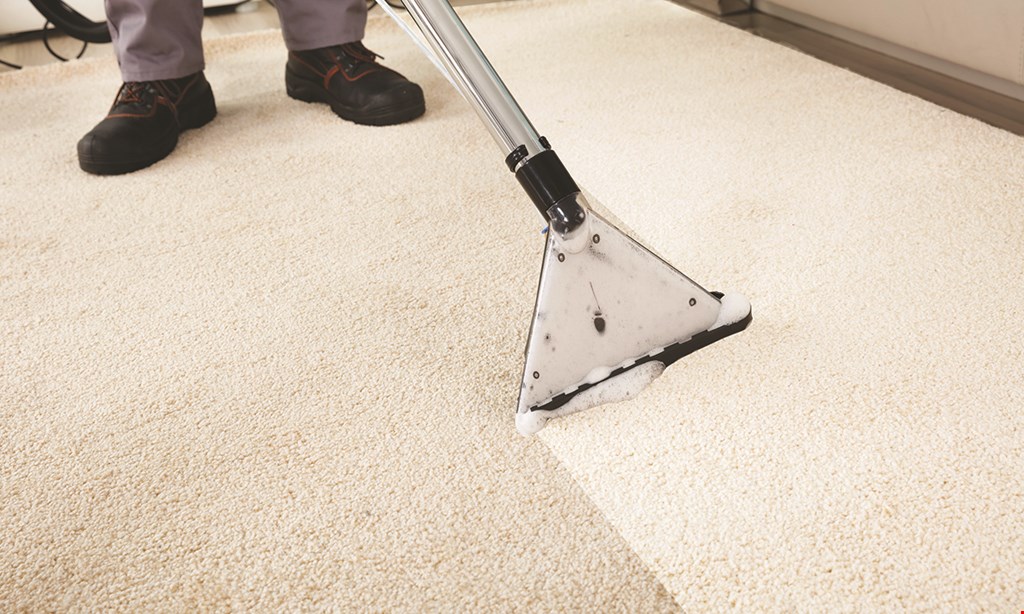 Product image for MARK'S DRY CARPET CLEANING Deluxe whole house clean only $148.