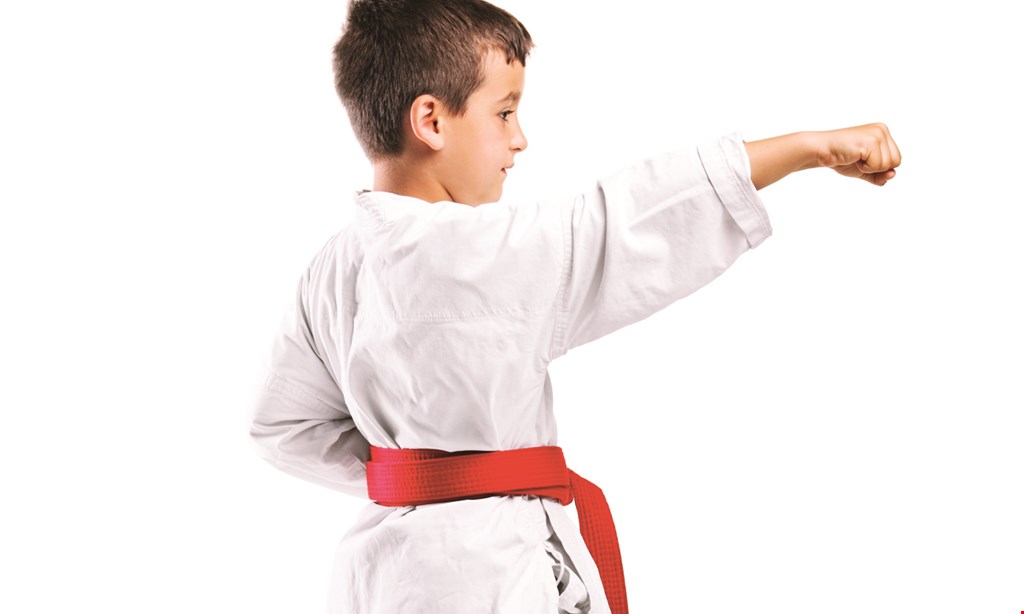 Product image for PAI'S TAE KWON DO ACADEMY Winter Special for only $19.95
