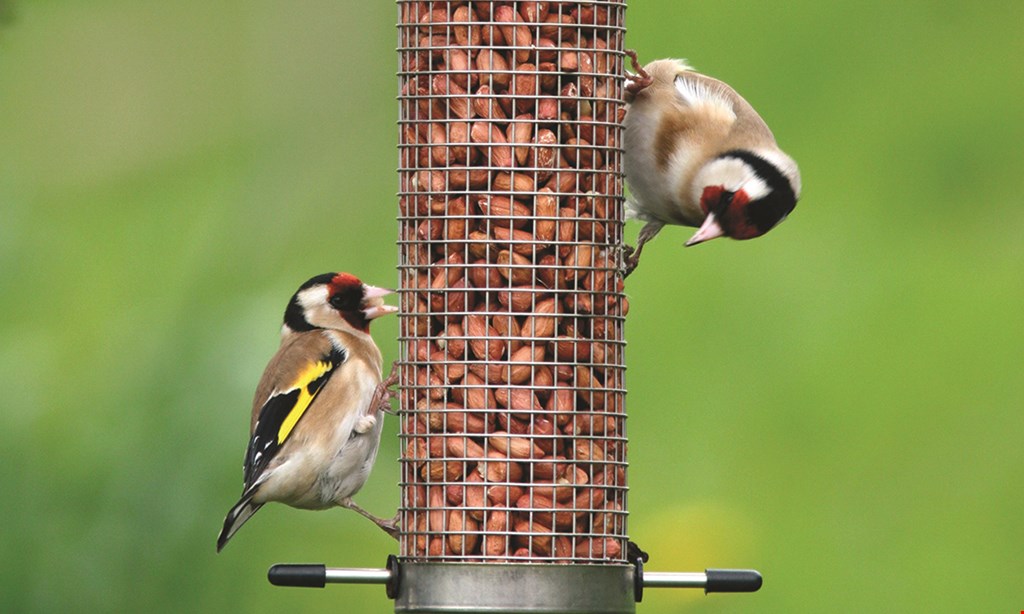 Product image for Wild Birds Unlimited 20% OFF one regularly-priced item*. 