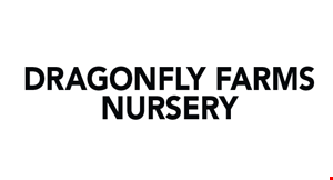 Dragon Fly Nursery logo