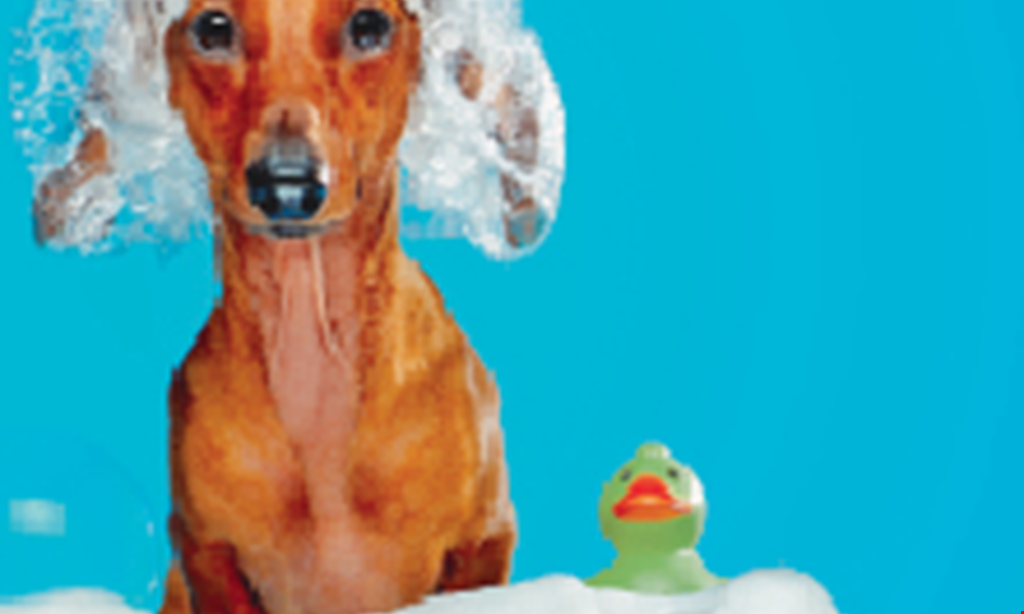 Product image for Cafe Du Bone Dog Bakery & Boutique FREE order of doggie beignets