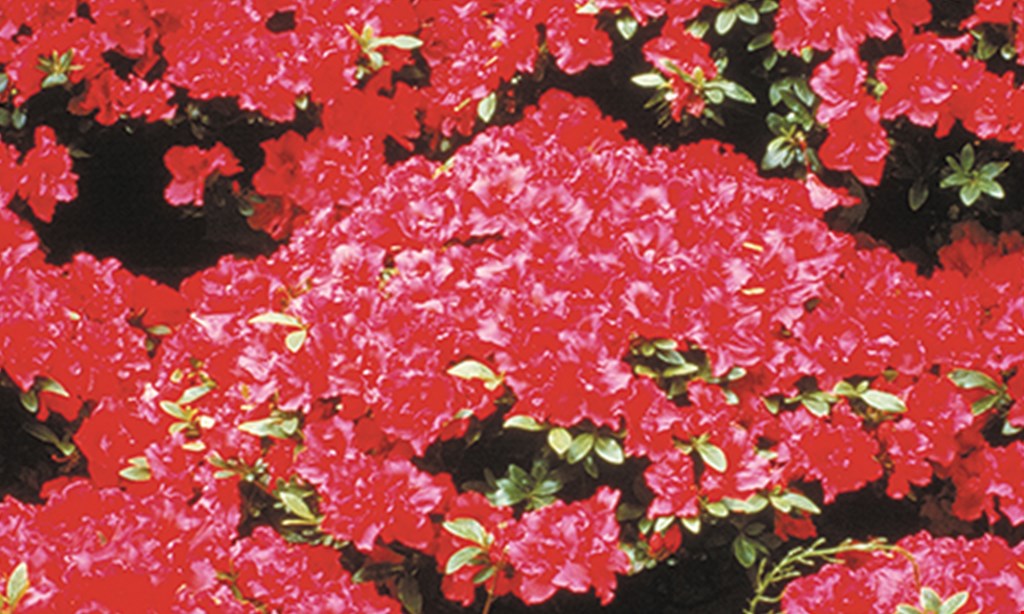 Product image for Hoffman's Supply and Garden Center $5 Off any purchase of $25 or more. 