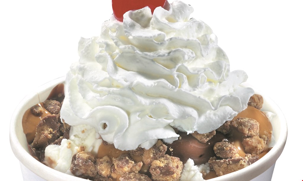 Product image for Brusters Ice Cream ( Webster) $1 off any item