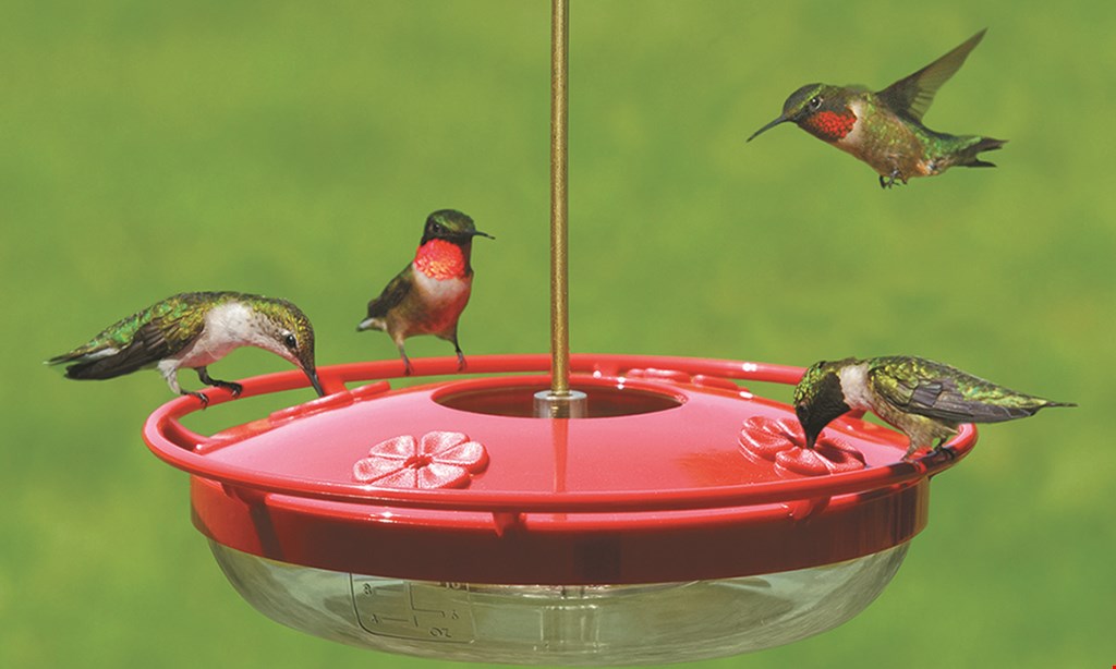 Product image for Wild Birds Unlimited 20% Off One Feeder Or Nesting Box*
