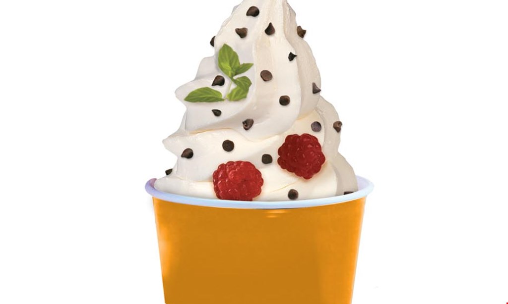 Product image for So Fun Frozen Yogurt Fill your cup for $4.99