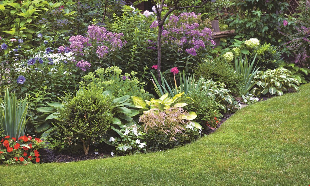 Product image for Flat Creek Garden Center 20% Off any one regularly priced item. 