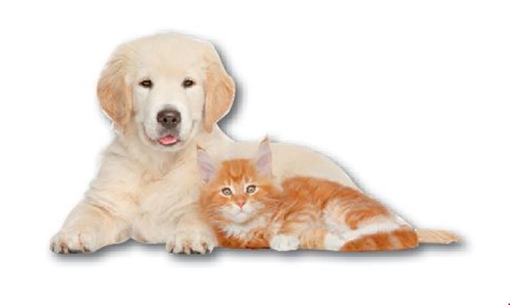 Product image for A Dog's Life And Kitty Too $10 off grooming services new clients only