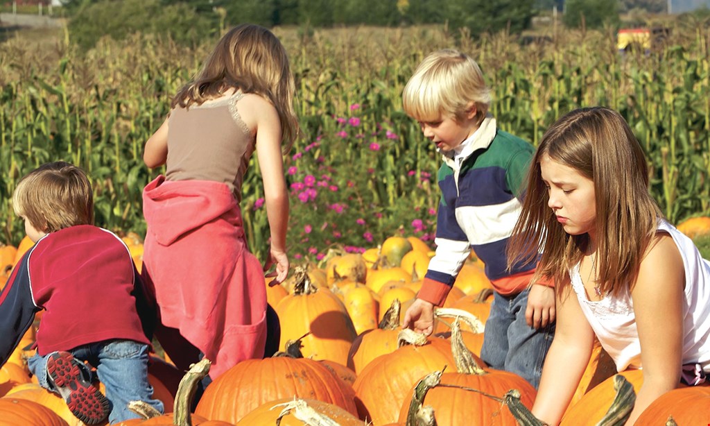 Product image for Lucas Bros. Farms FREE pumpkin buy 1 pumpkin, get 1 of equal or lesser value one pumpkin per family.