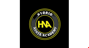 Hybrid Ninja Academy logo