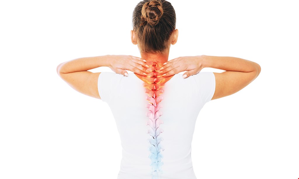 Product image for Pavia Chiropractic FREE consultation.