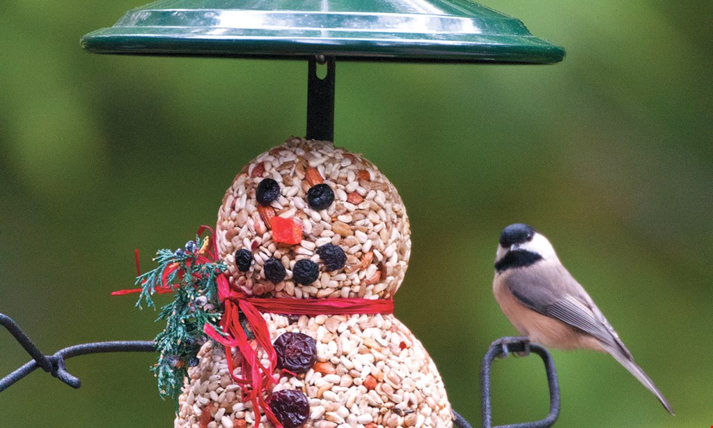 Product image for Wild Birds Unlimited 30% Off One Regularly Priced Non-Bird Food Item*. 