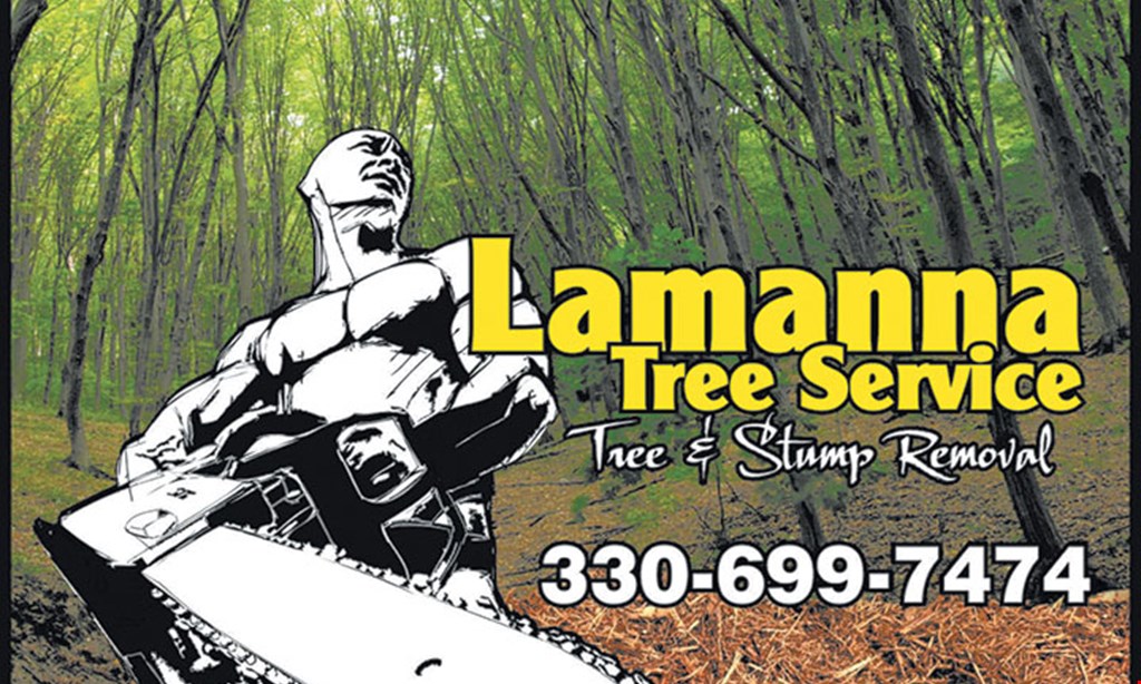 Product image for Lamanna's Tree Service Summer Rates $25 OFF ANY TREE JOB OVER $350 MENTION THIS AD AND GET A FREE T-SHIRT!.