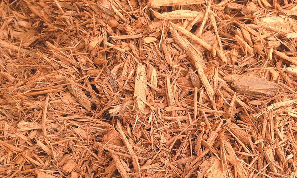 Product image for Mr. Mulch Free delivery when you order 10-15 yards of dark hardwood mulch (15-mile radius).