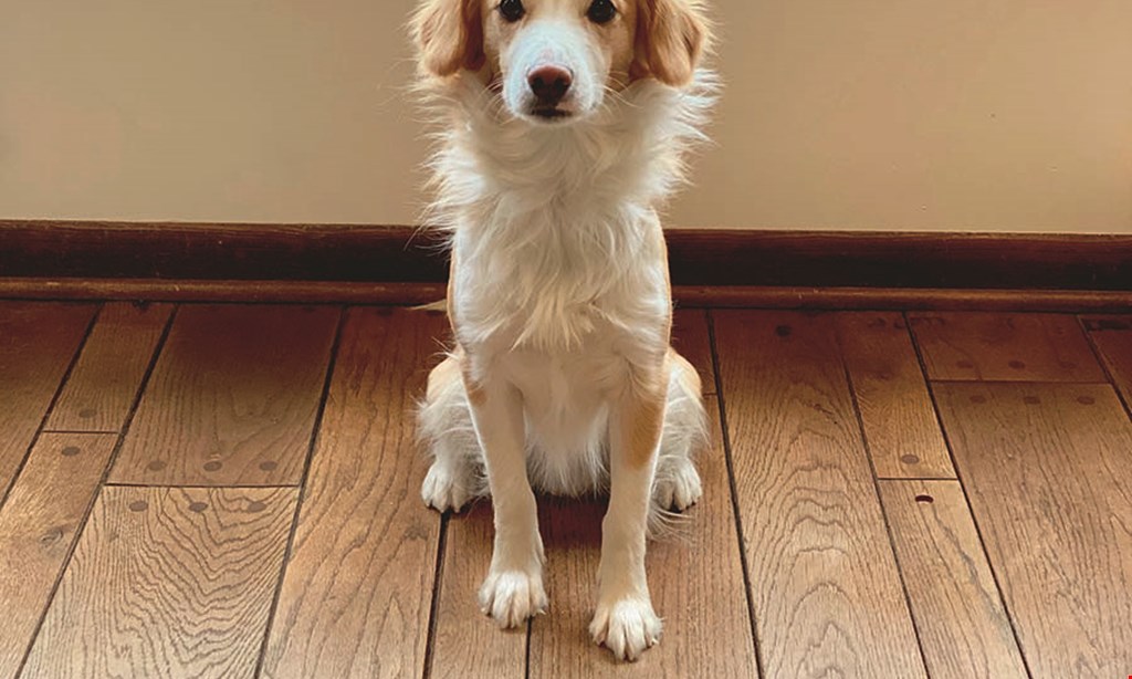 Product image for Kacey's Carpet & Tile $1399 3 ROOM SPECIAL MOHAWK SMARTSTRAND CARPET 20-yr. wear warranty, lifetime stain warranty & lifetime pet urine warranty includes 6 lb. padding & standard installation 30 oz. face weight • based on 432 sq. ft. (48 sq. yds.) (1) 12x12 bedroom (2) 12x12 bedroom (3) 12x12 bedroom.