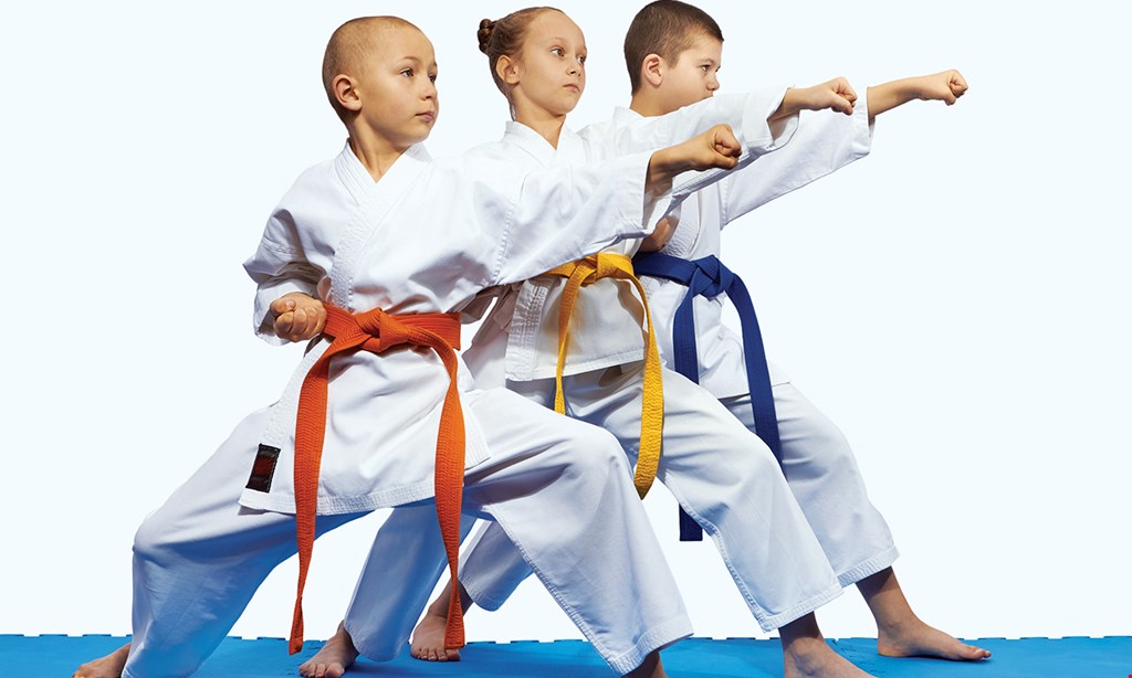 Product image for Dragon Gym Free virtual kids martial arts class on zoom