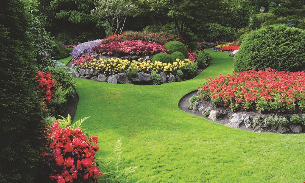 Product image for Morgan Meile Landscapes, LLC 30% off any 1 regular priced item.