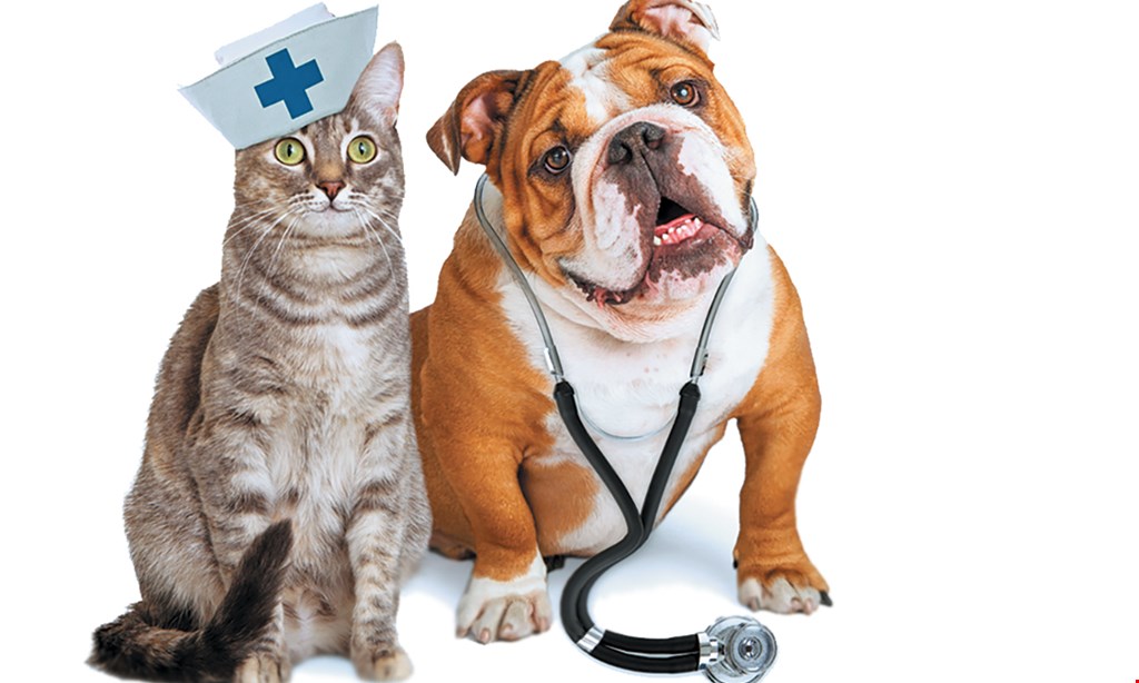 Product image for Advanced Care Veterinary Hospital Free ($62 value) new client exam (limit one pet). 