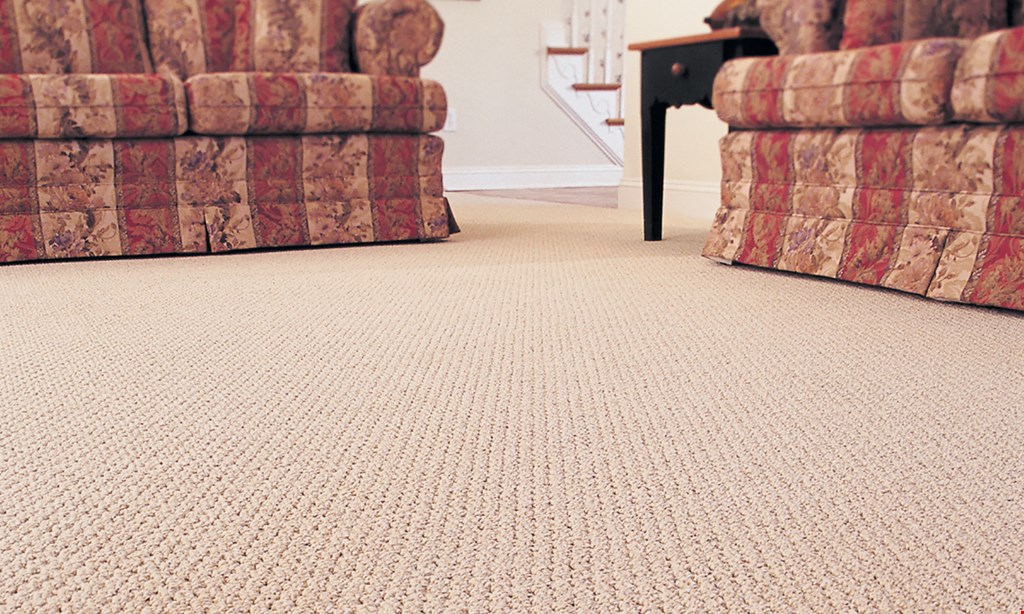 Product image for Oxymagic Of South Jersey $184 any 6 areas rooms/ halls/ stairs/ area rugs. 
