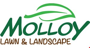 Product image for Molloy Lawn & Landscape 1 Free application with seasonal lawn programNew clients only. 