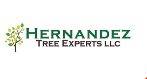 Hernandez Tree Experts LLC logo