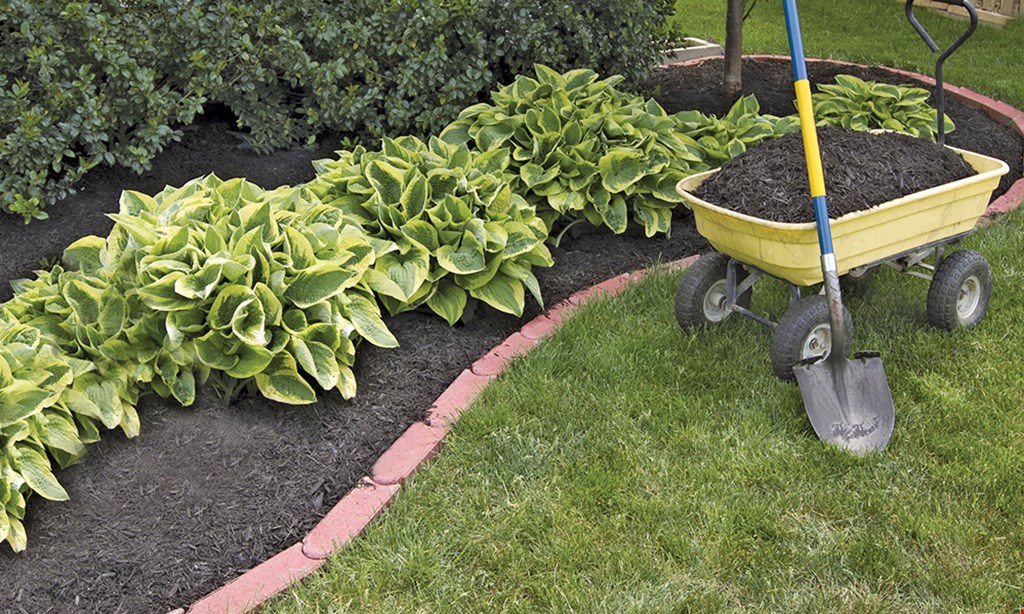Product image for Mulch Pros $35 OFF bulk mulch 10 cubic yard minimum CODE: homemag. 