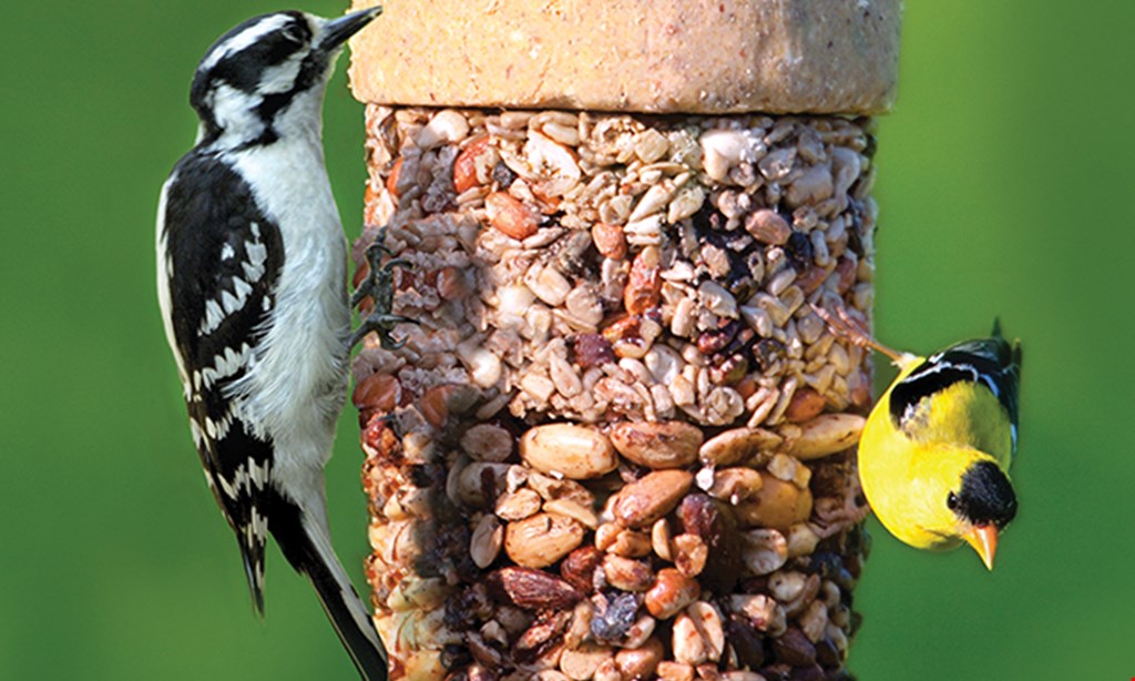 Product image for Wild Birds Unlimited 25% OFF Any one regularly-priced item*