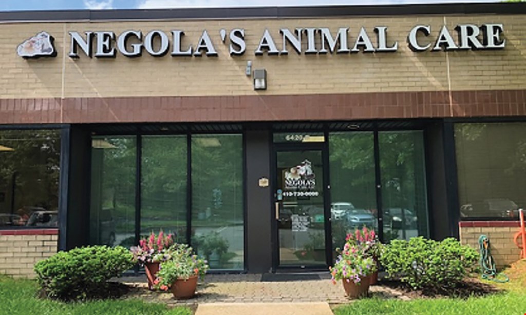 Product image for Negola's Animal Care 20% Off any service