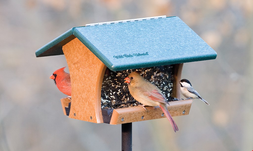 Product image for Wild Birds Unlimited FREE Premium Suet Cakes* Loaded with Mealworms & Crickets 