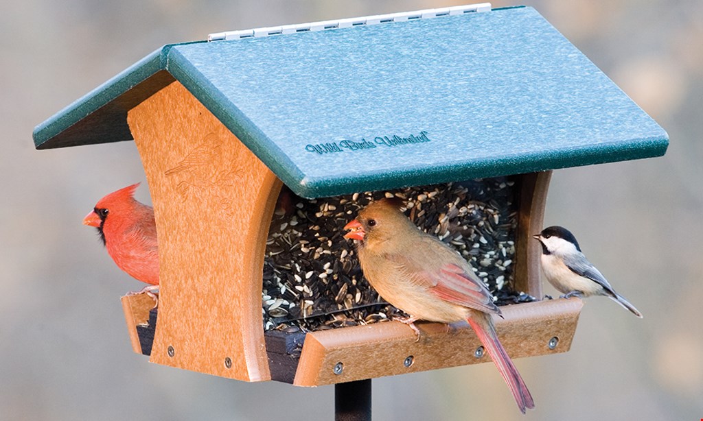 Product image for Wild Birds Unlimited 25% OFF* Hummingbird Feeders. 