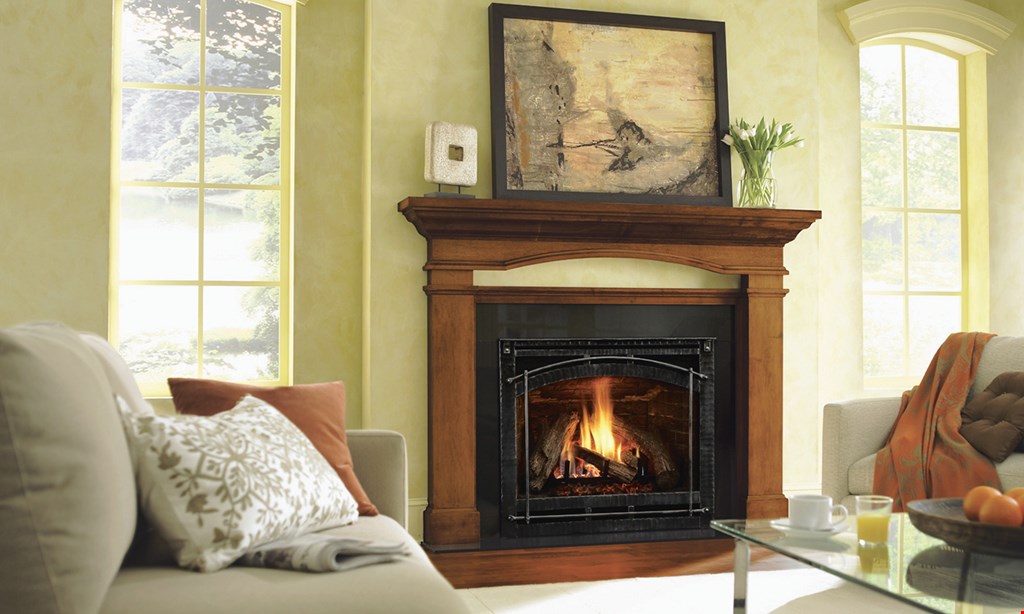 Product image for Hearth & Home $100 OFF gas fireplace, stove or insert. 
