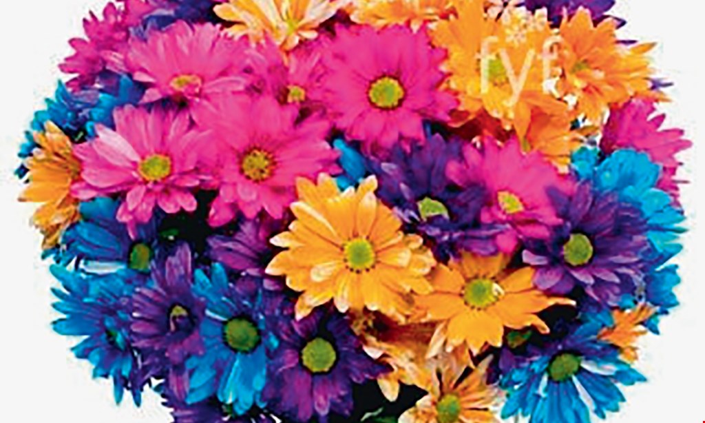 Product image for 2 Crazy Daisies Flowers only $29.99 roses cash and carry walk in special . 