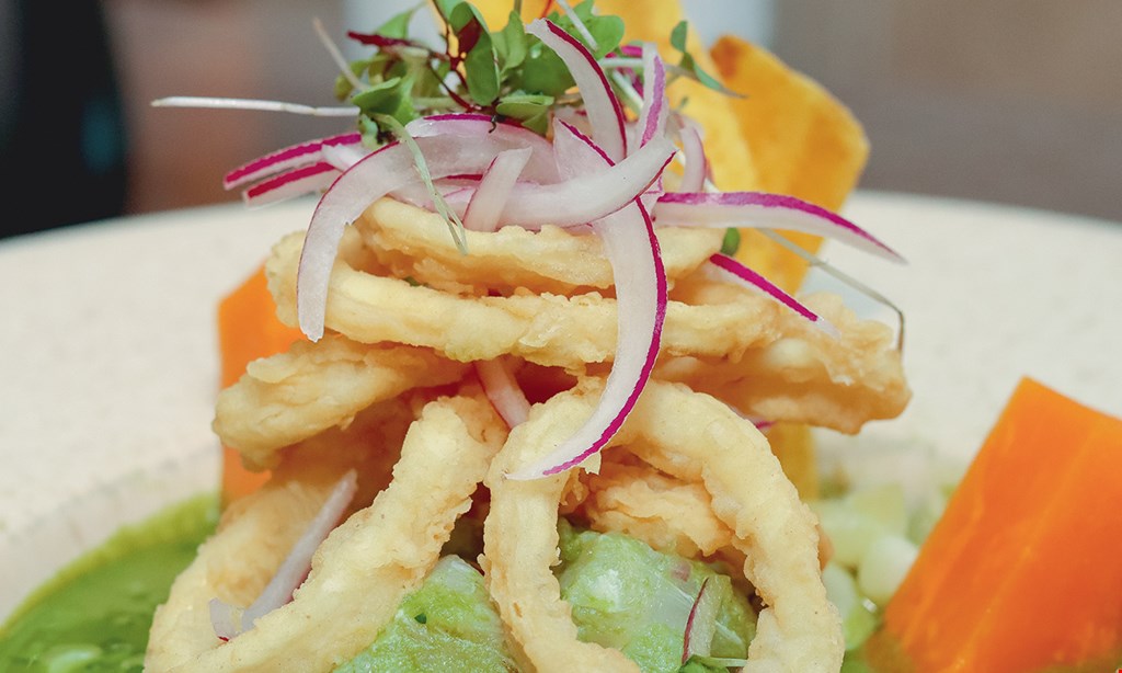 Product image for Ceviche Inka $5 off any food ticket of $35 or more